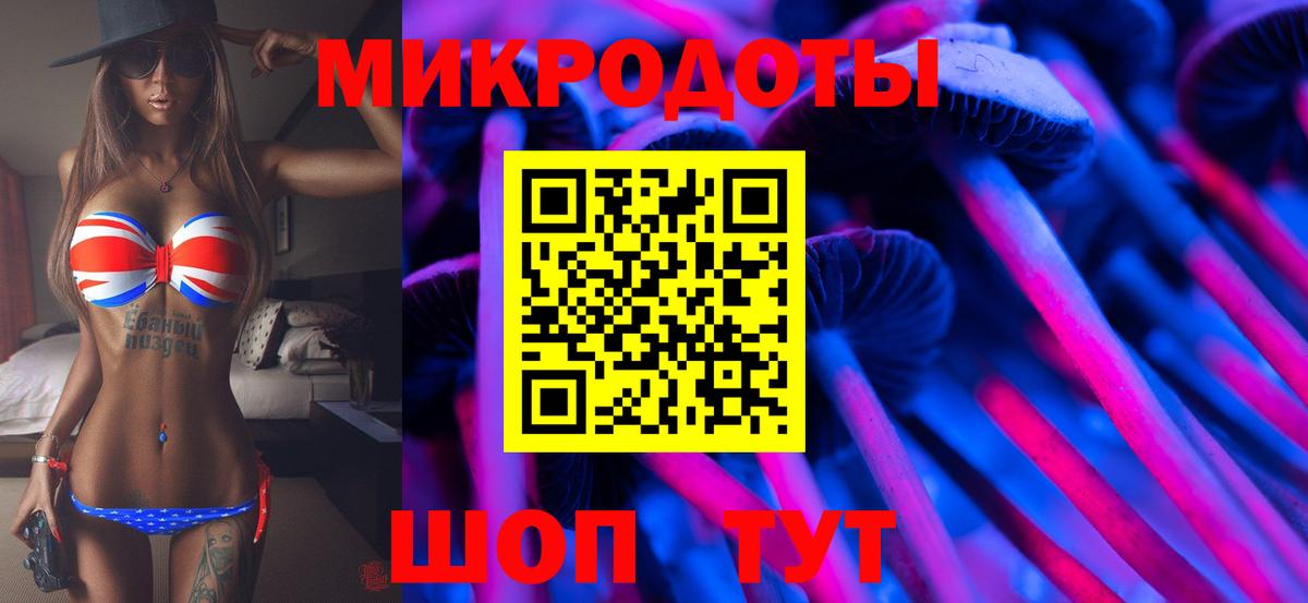 Галлюциногенные грибы GOLDEN TEACHER  где купить наркоту  Галлюциногенные грибы Cubensis  Ейск  Вход с VPN 